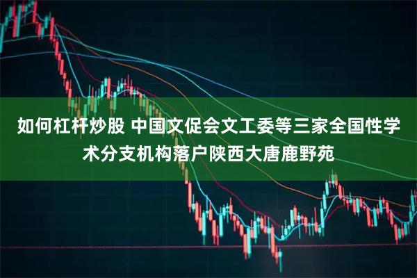 如何杠杆炒股 中国文促会文工委等三家全国性学术分支机构落户陕西大唐鹿野苑