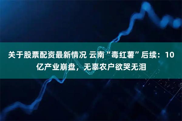 关于股票配资最新情况 云南“毒红薯”后续：10亿产业崩盘，无辜农户欲哭无泪