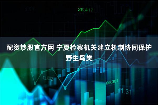 配资炒股官方网 宁夏检察机关建立机制协同保护野生鸟类