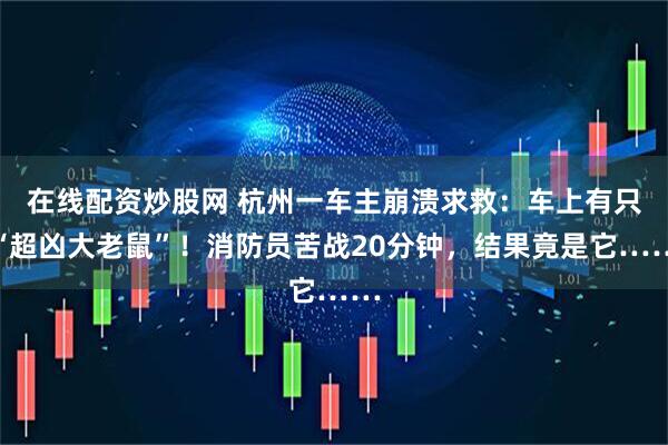 在线配资炒股网 杭州一车主崩溃求救：车上有只“超凶大老鼠”！消防员苦战20分钟，结果竟是它……