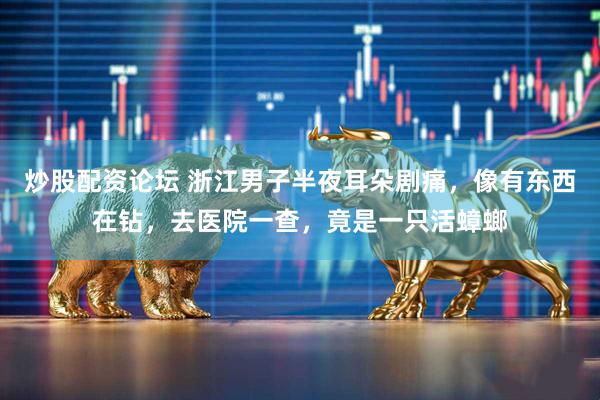 炒股配资论坛 浙江男子半夜耳朵剧痛，像有东西在钻，去医院一查，竟是一只活蟑螂